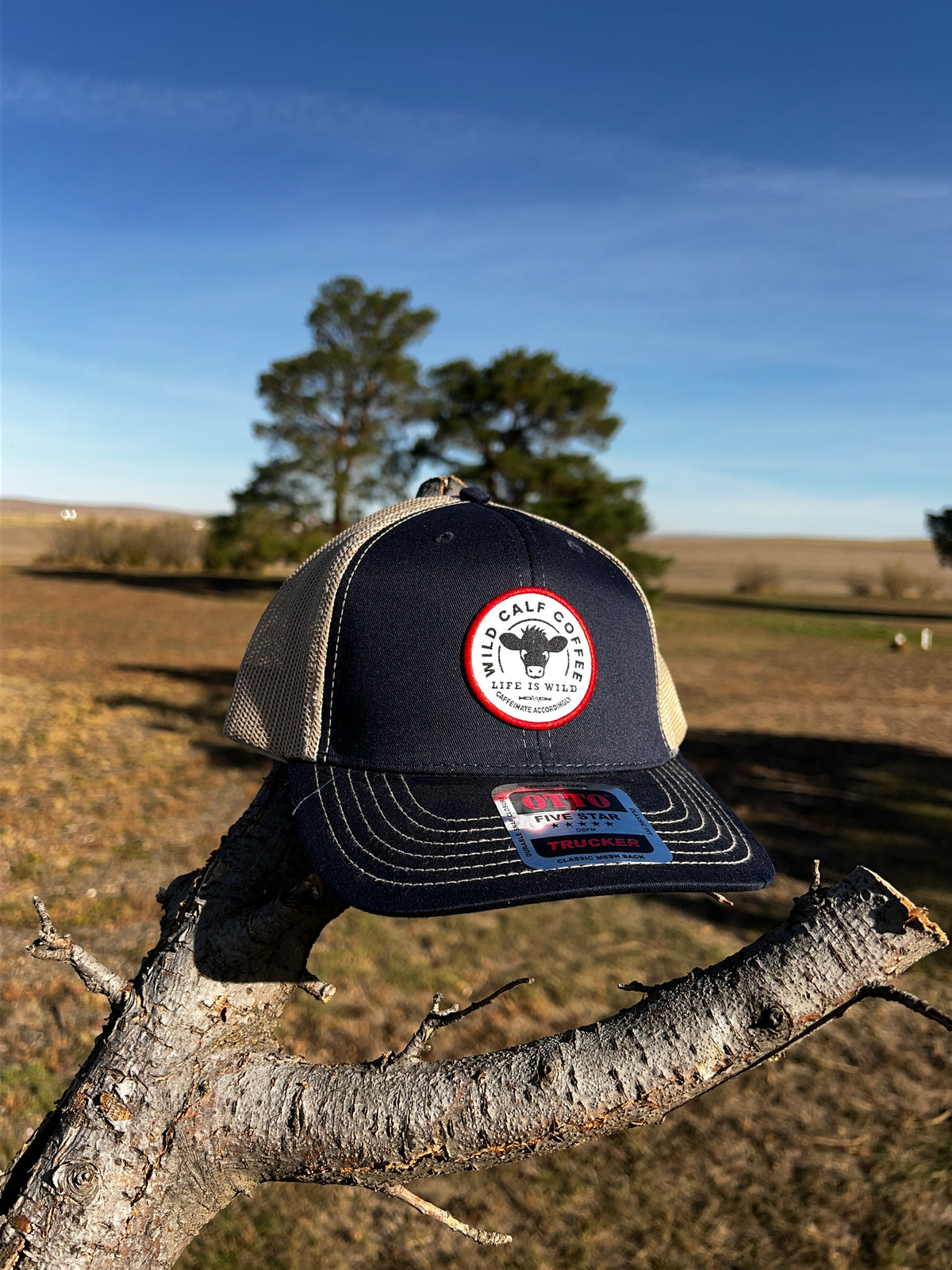 Wild Calf Coffee Trucker Cap