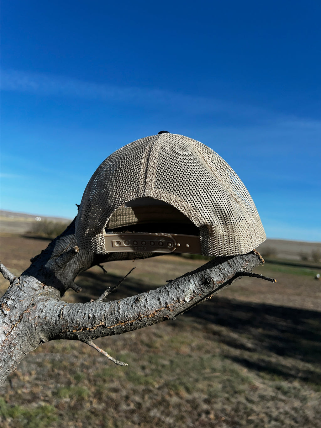 Wild Calf Coffee Trucker Cap