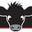 Wild Calf Coffee logo