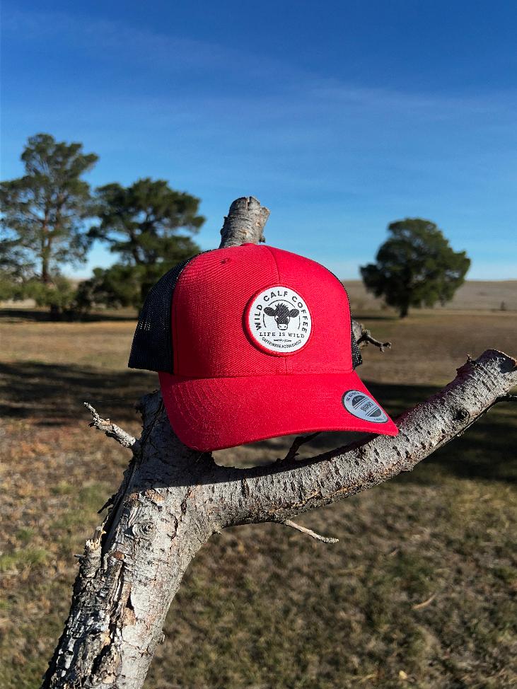 Wild Calf Coffee Red and Black Trucker Cap