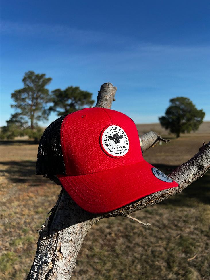 Wild Calf Coffee Red and Black Trucker Cap