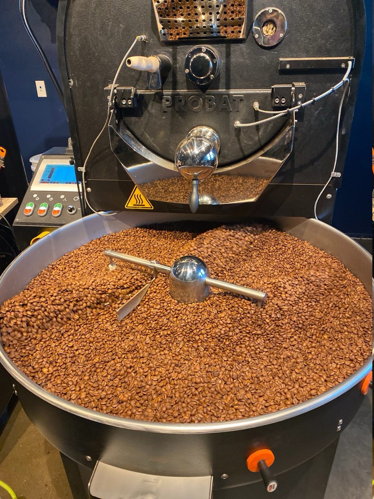 Freshly roasted coffee cooling in the Wild Calf Coffee roaster